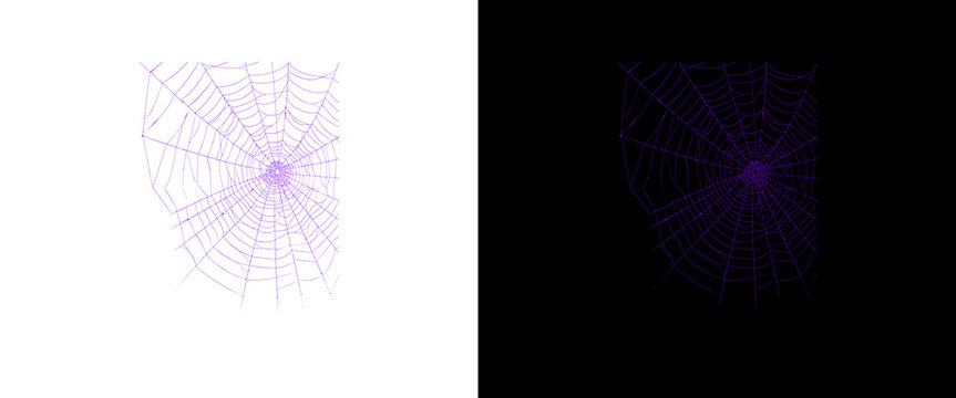 Purple spider web illustration set, spooky cobweb design elements on black and white backgrounds, Halloween graphic assets