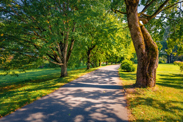 Obraz premium Colorful afternoon view of foliage garden in outscirts of Vecauces castle, Latvia, Europe. Sunny summer scene of Vecauce garden. Beauty of nature concept background.