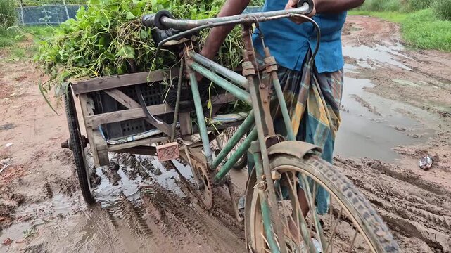 Farmer Pulling Loaded Three Wheeled Van Through Muddy Rural Road After Rain