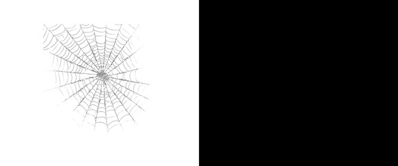 Fototapeta premium Spider web graphic element on white background, isolated spiderweb design, minimalist Halloween decoration asset