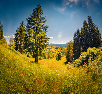 Astonishing summer view of Carpathian mountains, Ukraine, Europe. Spectacular morning scene of mountain pasture. Beauty of countryside concept background.