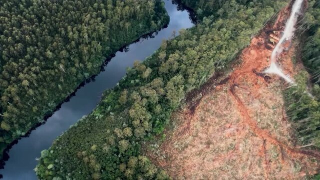 Aerial view of the Amazon rainforest deforested by illegal logging.
