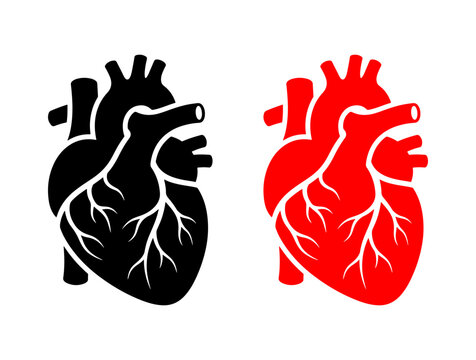 Detailed human heart icon set in black and red, vector illustration for cardiology and cardiovascular health care.