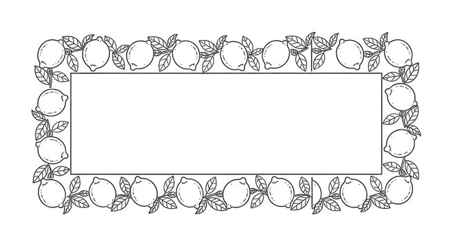 Decorative Rectangular Lemon Frame and Citrus Border with Botanical Line Art and Leaf Elements for Coloring or Design