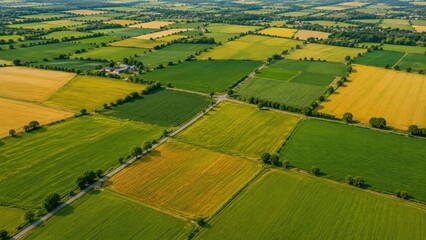 Fototapeta premium Aerial patchwork of green and yellow farmland fields divided by country roads and tree lines