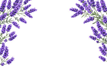 Fototapeta premium PNG Lavender floral border design.