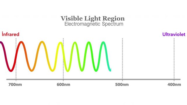 Colors wavelength range, long, short line waves animation. Red, yellow, green, blue, color light frequency, rainbow. Visible electromagnetic spectrum diagram. Ultraviolet to infrared radiation video