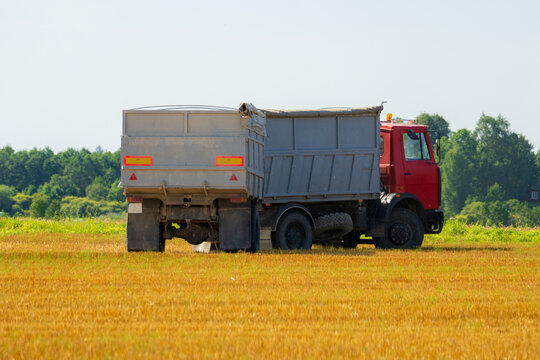 Farm truck transporting harvested grain across a summer field