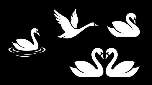 White swan icons in various graceful poses.