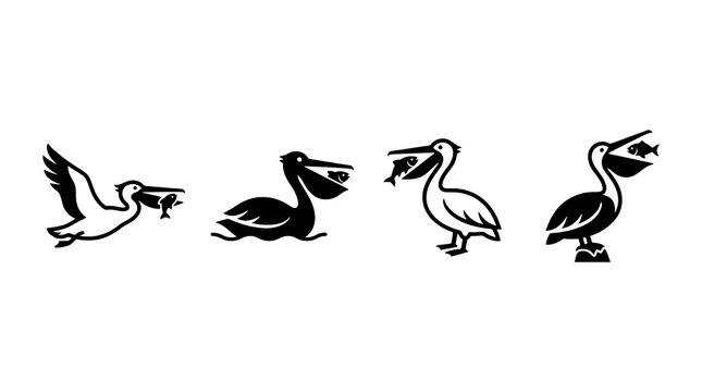 Black pelican silhouettes fishing and flying on white background.