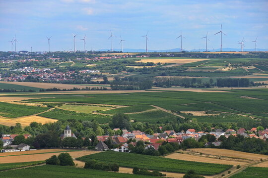 Blick vom Wi&szlig;berg in Rheinhessen