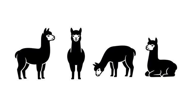 Alpaca and llama silhouette set.