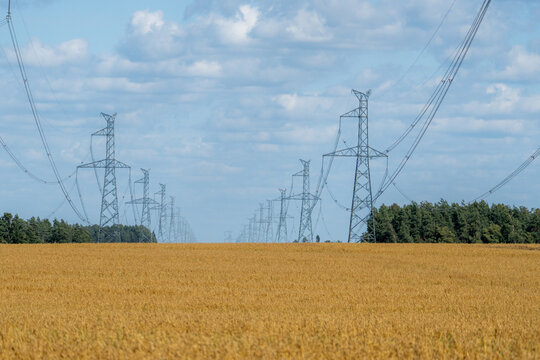 High voltage power lines crossing a golden agricultural field