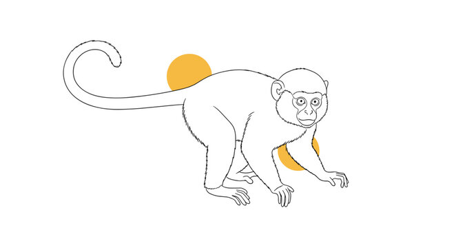 Artistic line drawing of a monkey in a walking pose accented with two bright yellow circles in the background on a white surface.