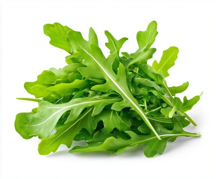 Fresh arugula leaves isolated on a white background