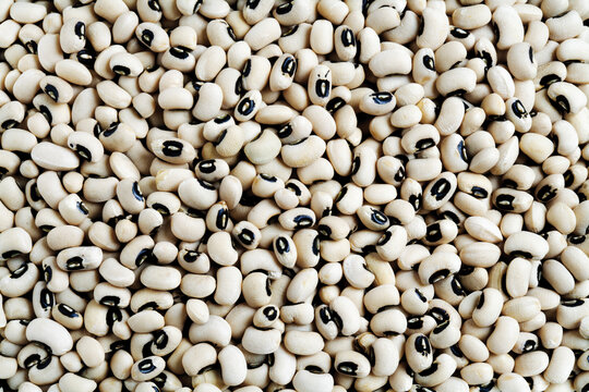Dried black eye beans, close-up