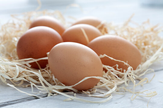 Fresh eggs on wood wool