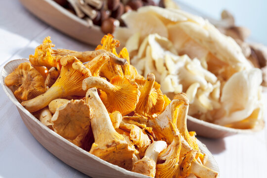 Fresh mushrooms, Chanterelles (Cantharellus cibarius), Agrocybe aegerita, Golden Oyster Mushrooms (Pleurotus citrinopileatus) and Ceps (Boletus edulis) in bowls on wooden table