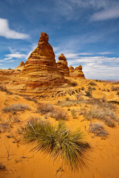 USA, Utah, South Coyote Buttes, Paria Canyon, Cottonwood Teepees, Rock formations