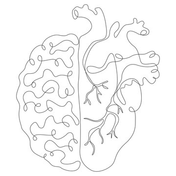 Continuous Line Art Brain and Heart Vector PNG Concept Illustration Isolated on Transparent Background