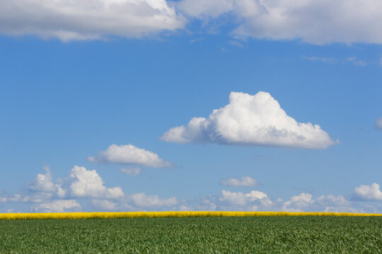 Germany, Bavaria, Lower Franconia, fields landscape with rape and cereals