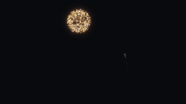 3d render firework A mesmerizing display of fireworks exploding in a dark sky.