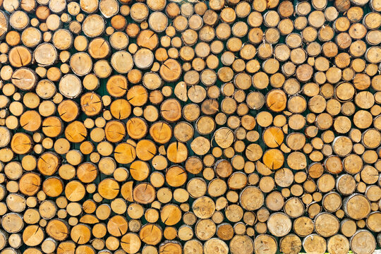 Close-up view of stacked wooden logs displaying a variety of diameters and textures, arranged in a natural pattern that highlights the unique wood grain and organic shapes of the timber