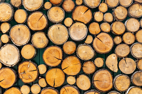 Close-up view of various tree trunk slices arranged in a visually appealing pattern, highlighting the natural wood textures and growth rings against a contrasting dark background. Eco-friendly, nature