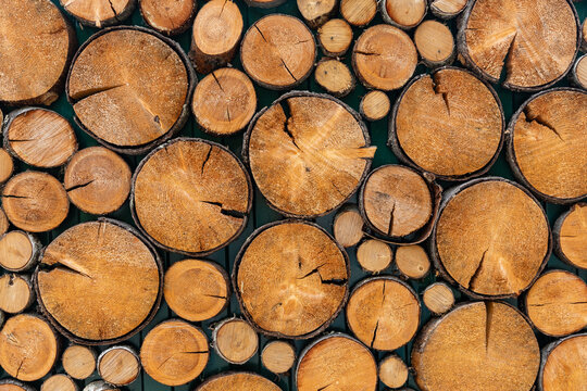 Close-up view of various tree trunk slices arranged in a visually appealing pattern, highlighting the natural wood textures and growth rings against a contrasting dark background. Eco-friendly, nature