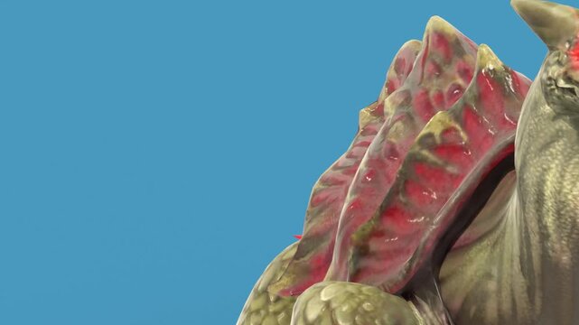 Blue Screen Monster Turtle Walks Front 3D Animations Rendering GCI 4K