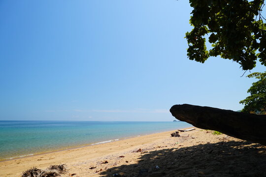 Tropical Sandy Beach and Turquoise Sea with Fallen Tree in Shade