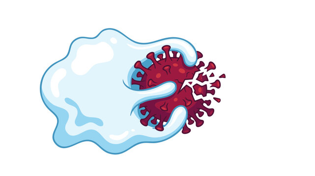 Immune system white blood cell attacking virus, macrophage destroying coronavirus pathogen, medical vector illustration