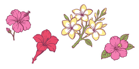 Tropical flowers vector set with pink hibiscus and yellow plumeria. Hand drawn exotic Hawaiian blooms, frangipani blossoms and jungle floral design elements isolated on white background © Yuliia