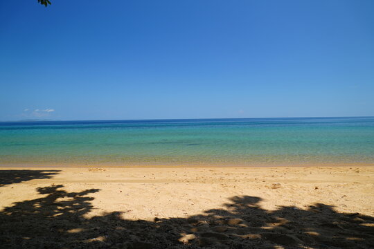 Peaceful Tropical Beach with Golden Sand and Clear Turquoise Ocean
