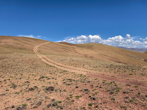 Photo of a country road under blue sky. Altai desert and semi-desert environment.
