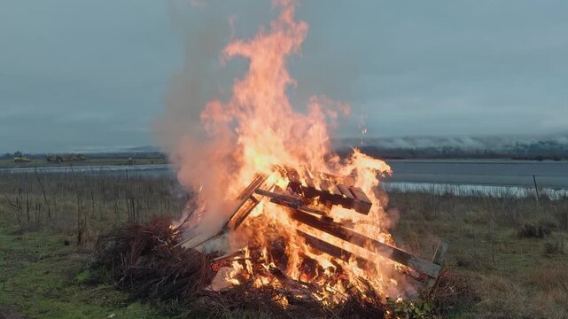 Large flames consume piles of grapevine prunings during a controlled burn, a common practice following winter vineyard maintenance and vine care.