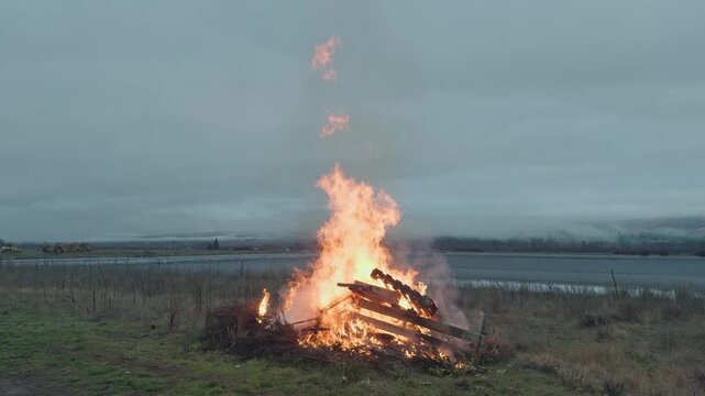 A controlled fire burns pruned grapevine branches and wooden debris after seasonal vineyard maintenance, reducing waste in a rural agricultural landscape.