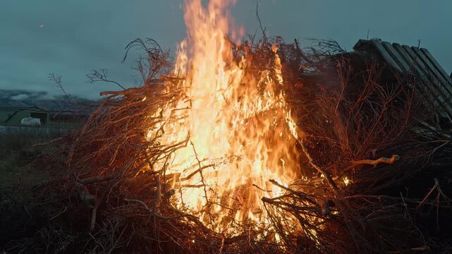 A burn pile of grapevine cuttings and wooden debris burns in a controlled fire following winter pruning, highlighting routine vineyard maintenance.