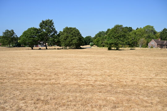 The Arid village Green at Forest Green during the Heatwave of August 11th 2026.