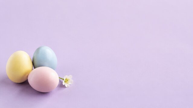 Three pastel-colored Easter eggs in yellow, blue, and pink arranged on a soft purple background with a small white flower for seasonal decoration and copy space