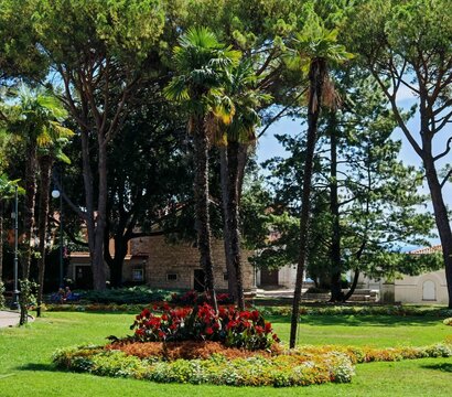 Lush Mediterranean Park with Palm Trees and Flower Beds in Opatija, Croatia
