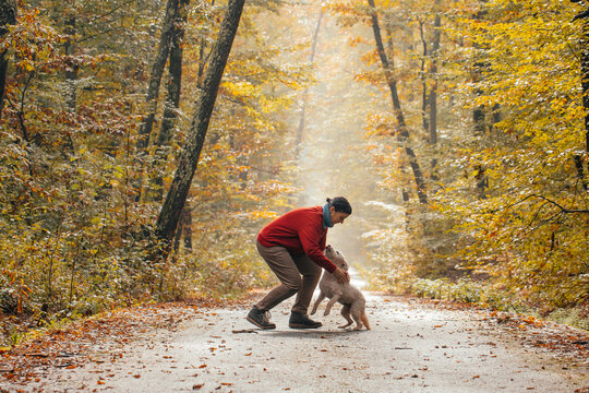 Woman having fun in a forest with her dogs early in an autumn morning. 