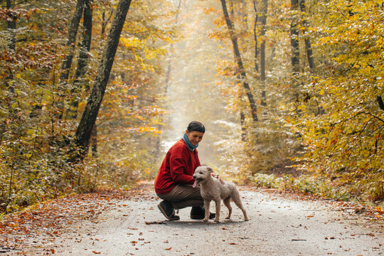Woman having fun in a forest with her dogs early in an autumn morning. 
