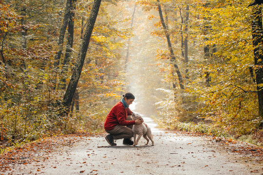 Woman having fun in a forest with her dogs early in an autumn morning. 