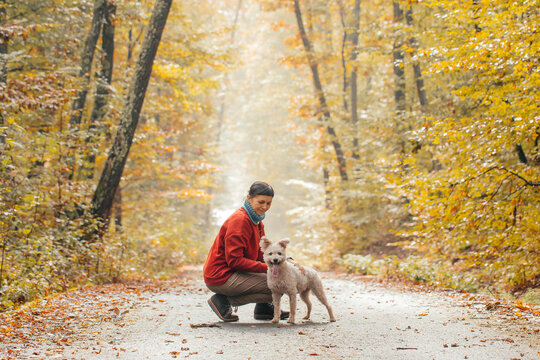 Woman having fun in a forest with her dogs early in an autumn morning. 