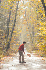 Fototapeta premium Woman having fun in a forest with her dogs early in an autumn morning. 