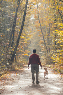 Woman having fun in a forest with her dogs early in an autumn morning. 
