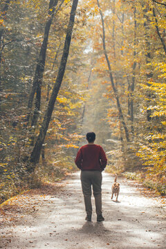 Woman having fun in a forest with her dogs early in an autumn morning. 