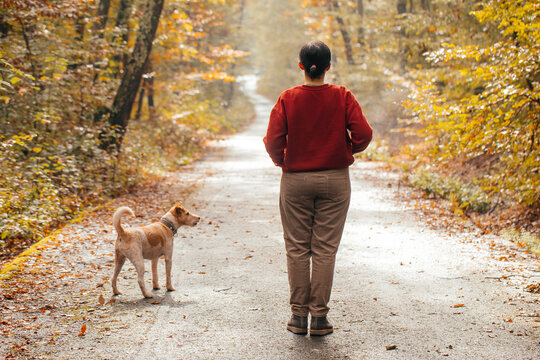 Woman having fun in a forest with her dogs early in an autumn morning. 