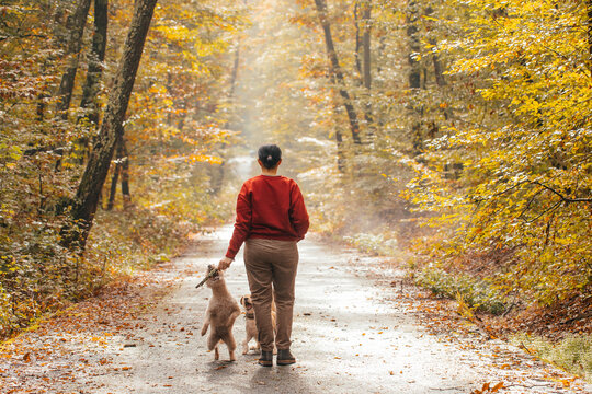 Woman having fun in a forest with her dogs early in an autumn morning. 